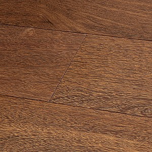 Brazilian Chestnut